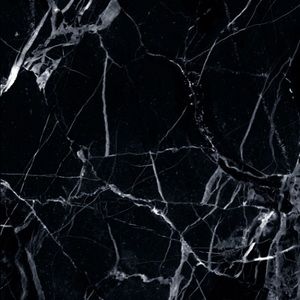 Meet your Posher, Mayte